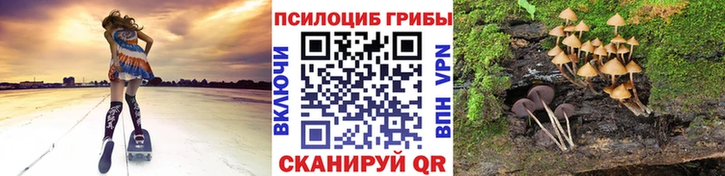 кракен tor магазин наркотиков Кыштым Галлюциногенные грибы Cubensis