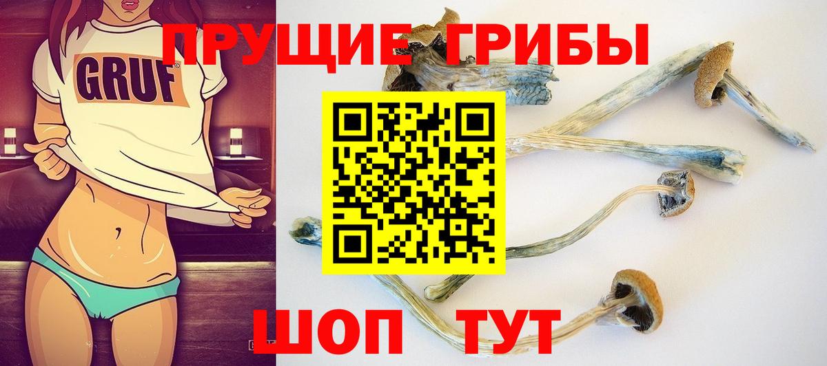 Кыштым  Псилоцибиновые грибы GOLDEN TEACHER  Галлюциногенные грибы ЛСД  Вход с VPN 